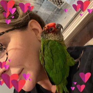 Meet your Posher, Tanya